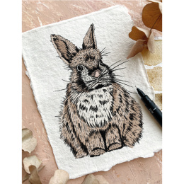 The Kew Book of Drawing Flora and Fauna in der Gruppe Basteln & Hobby / Bücher / Lehrbücher bei Pen Store (136328)