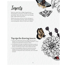 The Kew Book of Drawing Flora and Fauna in der Gruppe Basteln & Hobby / Bücher / Lehrbücher bei Pen Store (136328)