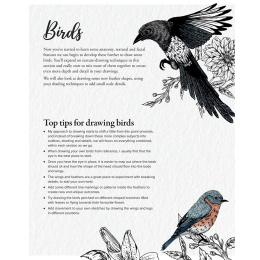 The Kew Book of Drawing Flora and Fauna in der Gruppe Basteln & Hobby / Bücher / Lehrbücher bei Pen Store (136328)