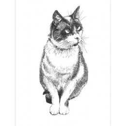 Pen and Ink Drawing Techniques in der Gruppe Basteln & Hobby / Bücher / Inspirationsbücher bei Pen Store (136330)