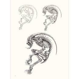 The Art of Fantasy in der Gruppe Basteln & Hobby / Bücher / Inspirationsbücher bei Pen Store (136331)