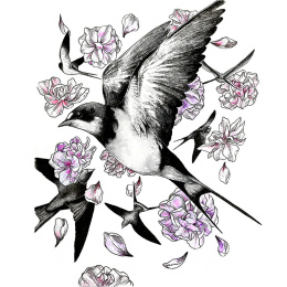 Illustrations-Aquarellset in der Gruppe Künstlerbedarf / Künstlerfarben / Aquarell / Aquarellfarbe im Napf bei Pen Store (136421)