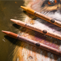 Pastellstift in der Gruppe Stifte / Künstlerstifte / Pastellstifte bei Pen Store (136529_r)