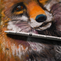 Pastellstift in der Gruppe Stifte / Künstlerstifte / Pastellstifte bei Pen Store (136529_r)