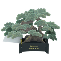 Bonsai Popup-Karte (Japanese black pine) in der Gruppe Basteln & Hobby / Feiertage und Jahreszeiten / Karten und Kuverts bei Pen Store (136616)