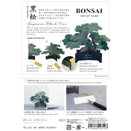 Bonsai Popup-Karte (Japanese black pine) in der Gruppe Basteln & Hobby / Feiertage und Jahreszeiten / Karten und Kuverts bei Pen Store (136616)