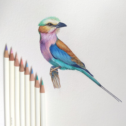 Irojiten Farbstift einzeln in der Gruppe Stifte / Künstlerstifte / Buntstifte bei Pen Store (136687_r)