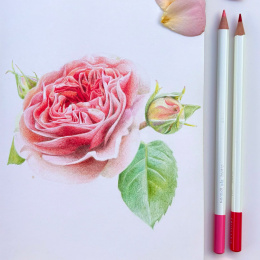 Irojiten Farbstift einzeln in der Gruppe Stifte / Künstlerstifte / Buntstifte bei Pen Store (136687_r)