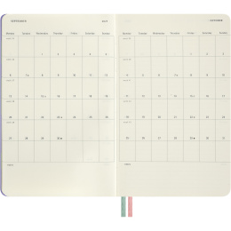 Kalender 18M WeekNote Hard Cover Large Alice in Wonderland in der Gruppe Papier & Blöcke / Kalender und Terminkalender / 18 Monate Tageskalender bei Pen Store (137025)