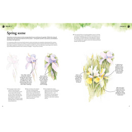 Learn to Draw in an Hour a Day in der Gruppe Basteln & Hobby / Bücher / Lehrbücher bei Pen Store (137176)