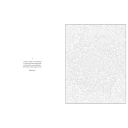 Mystery Coloring Mandalas in der Gruppe Basteln & Hobby / Bücher / Malbücher für Erwachsene bei Pen Store (137182)