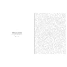 Mystery Coloring Mandalas in der Gruppe Basteln & Hobby / Bücher / Malbücher für Erwachsene bei Pen Store (137182)