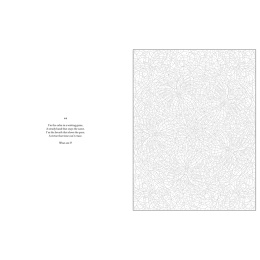 Mystery Coloring Mandalas in der Gruppe Basteln & Hobby / Bücher / Malbücher für Erwachsene bei Pen Store (137182)