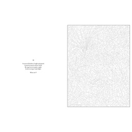 Mystery Coloring Wild Animals in der Gruppe Basteln & Hobby / Bücher / Malbücher für Erwachsene bei Pen Store (137183)