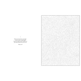 Mystery Coloring Wild Animals in der Gruppe Basteln & Hobby / Bücher / Malbücher für Erwachsene bei Pen Store (137183)