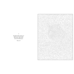 Mystery Coloring Wild Animals in der Gruppe Basteln & Hobby / Bücher / Malbücher für Erwachsene bei Pen Store (137183)