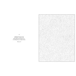 Mystery Coloring Wild Animals in der Gruppe Basteln & Hobby / Bücher / Malbücher für Erwachsene bei Pen Store (137183)