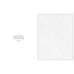 Mystery Coloring Wild Animals in der Gruppe Basteln & Hobby / Bücher / Malbücher für Erwachsene bei Pen Store (137183)