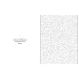 Mystery Coloring Wild Animals in der Gruppe Basteln & Hobby / Bücher / Malbücher für Erwachsene bei Pen Store (137183)