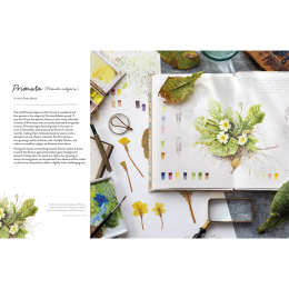 Sketching Nature in der Gruppe Basteln & Hobby / Bücher / Lehrbücher bei Pen Store (137184)