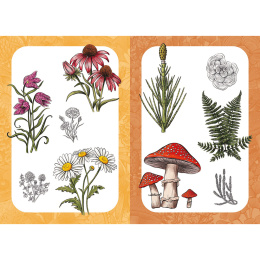 10 Step Drawing: Botanicals in der Gruppe Basteln & Hobby / Bücher / Lehrbücher bei Pen Store (137196)
