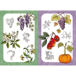 10 Step Drawing: Botanicals in der Gruppe Basteln & Hobby / Bücher / Lehrbücher bei Pen Store (137196)