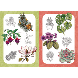 10 Step Drawing: Botanicals in der Gruppe Basteln & Hobby / Bücher / Lehrbücher bei Pen Store (137196)