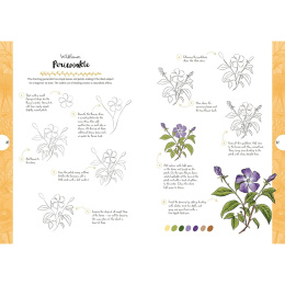 10 Step Drawing: Botanicals in der Gruppe Basteln & Hobby / Bücher / Lehrbücher bei Pen Store (137196)