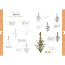 10 Step Drawing: Botanicals in der Gruppe Basteln & Hobby / Bücher / Lehrbücher bei Pen Store (137196)
