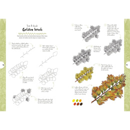 10 Step Drawing: Botanicals in der Gruppe Basteln & Hobby / Bücher / Lehrbücher bei Pen Store (137196)
