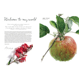 Anna Mason's Watercolour World in der Gruppe Basteln & Hobby / Bücher / Inspirationsbücher bei Pen Store (137202)