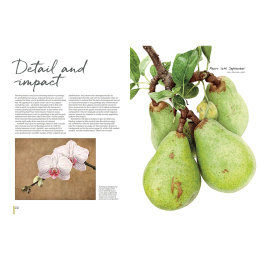 Anna Mason's Watercolour World in der Gruppe Basteln & Hobby / Bücher / Inspirationsbücher bei Pen Store (137202)