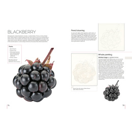 Anna Mason's Watercolour World in der Gruppe Basteln & Hobby / Bücher / Inspirationsbücher bei Pen Store (137202)