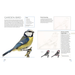 Anna Mason's Watercolour World in der Gruppe Basteln & Hobby / Bücher / Inspirationsbücher bei Pen Store (137202)