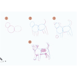 Draw 30: Animals in der Gruppe Basteln & Hobby / Bücher / Lehrbücher bei Pen Store (137210)