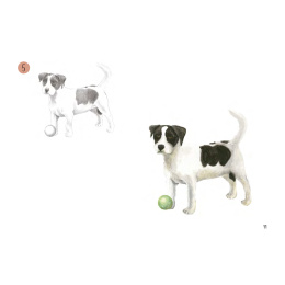 Draw 30: Animals in der Gruppe Basteln & Hobby / Bücher / Lehrbücher bei Pen Store (137210)