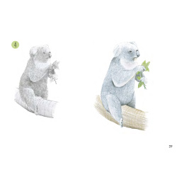 Draw 30: Animals in der Gruppe Basteln & Hobby / Bücher / Lehrbücher bei Pen Store (137210)