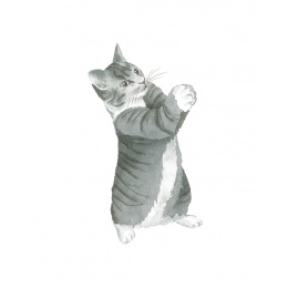 Draw 30: Cats in der Gruppe Basteln & Hobby / Bücher / Lehrbücher bei Pen Store (137211)