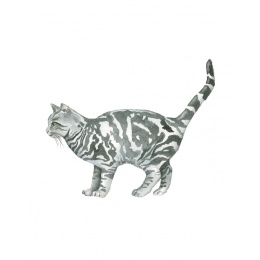 Draw 30: Cats in der Gruppe Basteln & Hobby / Bücher / Lehrbücher bei Pen Store (137211)