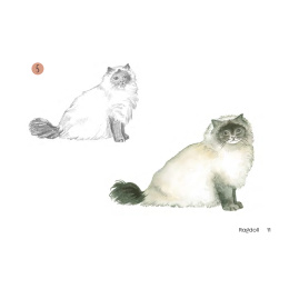 Draw 30: Cats in der Gruppe Basteln & Hobby / Bücher / Lehrbücher bei Pen Store (137211)