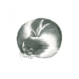 Draw 30: Cats in der Gruppe Basteln & Hobby / Bücher / Lehrbücher bei Pen Store (137211)