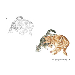 Draw 30: Cats in der Gruppe Basteln & Hobby / Bücher / Lehrbücher bei Pen Store (137211)