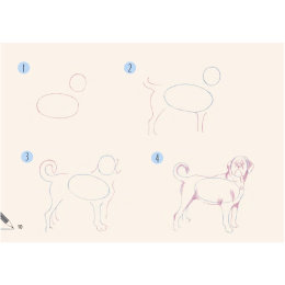 Draw 30: Dogs in der Gruppe Basteln & Hobby / Bücher / Lehrbücher bei Pen Store (137213)