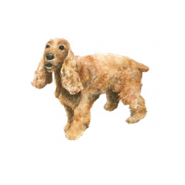 Draw 30: Dogs in der Gruppe Basteln & Hobby / Bücher / Lehrbücher bei Pen Store (137213)