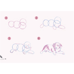 Draw 30: Dogs in der Gruppe Basteln & Hobby / Bücher / Lehrbücher bei Pen Store (137213)