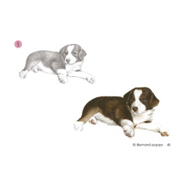 Draw 30: Dogs in der Gruppe Basteln & Hobby / Bücher / Lehrbücher bei Pen Store (137213)