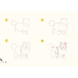 Draw 30: Dogs in der Gruppe Basteln & Hobby / Bücher / Lehrbücher bei Pen Store (137213)