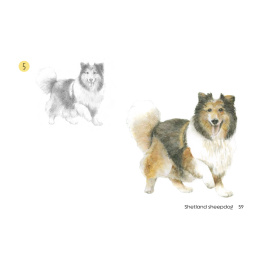 Draw 30: Dogs in der Gruppe Basteln & Hobby / Bücher / Lehrbücher bei Pen Store (137213)