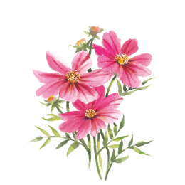 Draw 30: Flowers in der Gruppe Basteln & Hobby / Bücher / Lehrbücher bei Pen Store (137215)