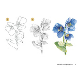 Draw 30: Flowers in der Gruppe Basteln & Hobby / Bücher / Lehrbücher bei Pen Store (137215)